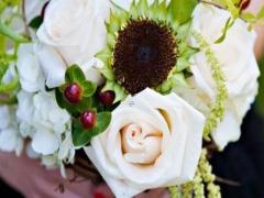 看不可描述片片都直接快進到要害的星座