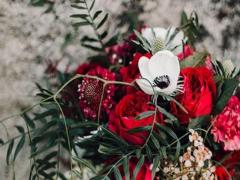 結婚之后 希望財政自立的星座