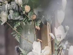 外柔內剛！這些星座就是十足的倔脾氣