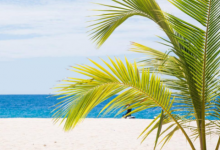 最新創意民宿名字大全 高雅好聽的民宿名字