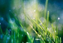 罕見好聽的古風微信名 最唯美的微信名字