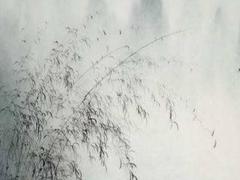 1970屬狗男2022運勢及運程每月運程