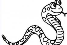 屬蛇的性格特點?占有欲很強很能干