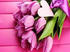 夢見狼是什么意思呢？