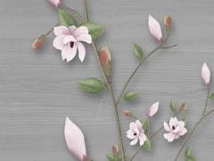 2022年對屬虎的人好不好 屬虎人2022年運勢解析