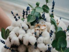 持之以恒始終堅持自己原則的星座