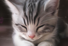 3月3日什么星座 雙魚會把哪個星座毀掉