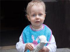 夢(mèng)見(jiàn)一棵小樹(shù)