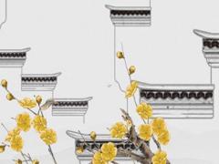 吳姓好聽的女孩名字