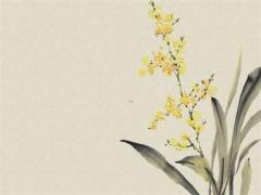 2022年生人運(yùn)勢(shì)如何