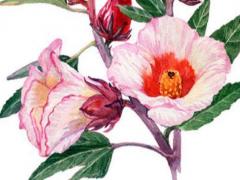 帥氣陽光的男孩名字 男寶寶名字大全