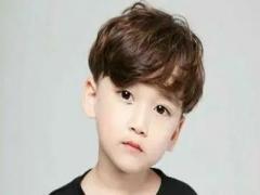 夢見大風把樹刮斷