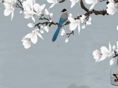 己亥日柱2022壬寅年運勢