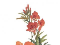 屬馬的2022年適合換工作嗎 屬馬適合從事什么工作