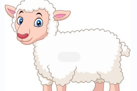 未時是幾點 未時是屬什么生肖