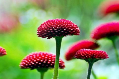 夢見洗頭發掉了好多頭發 夢見洗頭發頭發又長又順