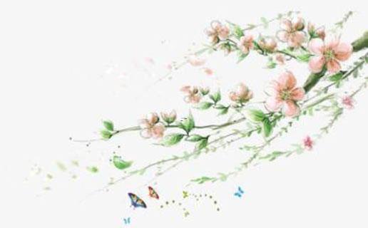 17385-.周好聽的名字