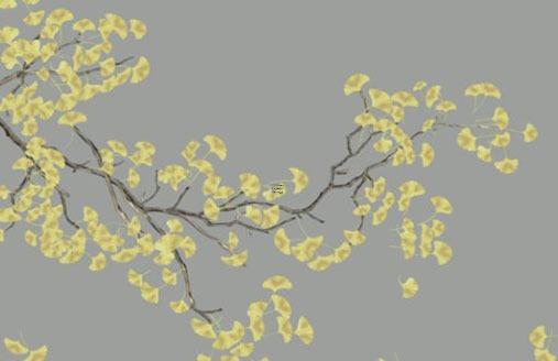 2022年屬虎男本命年戴什么轉(zhuǎn)運(yùn) 虎年本命年男性佩戴什么生肖