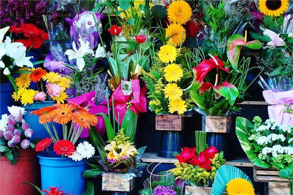 14261-.夢見房屋被占是什么意思 14261-.夢見房屋被占是什么意思