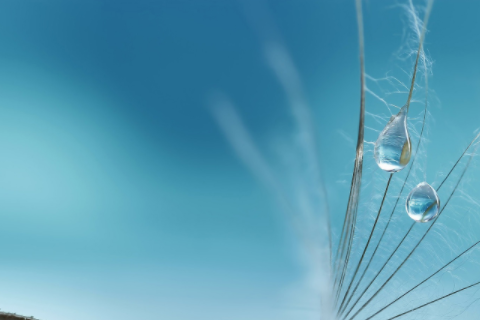 天秤是幾月幾號到幾月幾號 天秤想分手的表現