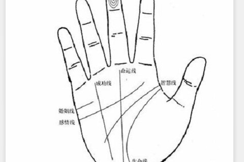 生命線分叉會生大病嗎?生命線分叉說明什么