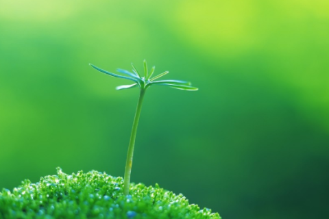 摩羯座最合不來的星座 摩羯座能力真的很強嗎