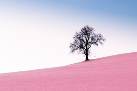 屬猴女命中注定的丈夫 屬猴女的性格和脾氣