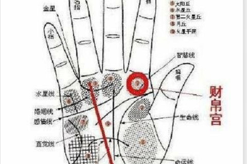 生命線分叉會生大病嗎?生命線分叉說明什么
