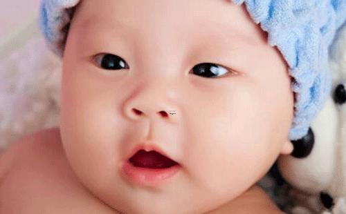 15816-.2022年男女寶寶名字大全