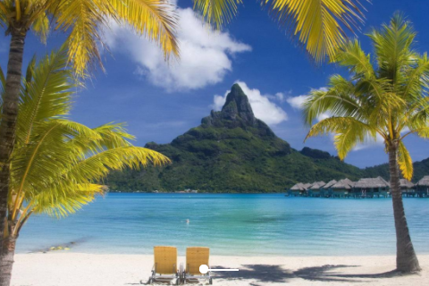 羊和猴的屬相合不合 羊和猴在一起對誰不利