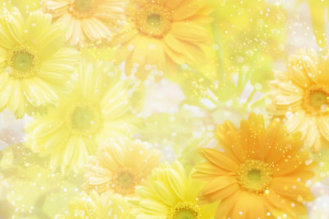 牛和馬相配婚姻如何能走到最后嗎 牛和馬相配婚姻如何化解