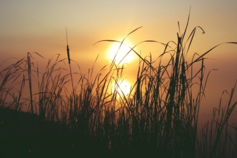 60年屬鼠是什么命五行屬什么 60年屬鼠2023年運勢及運程