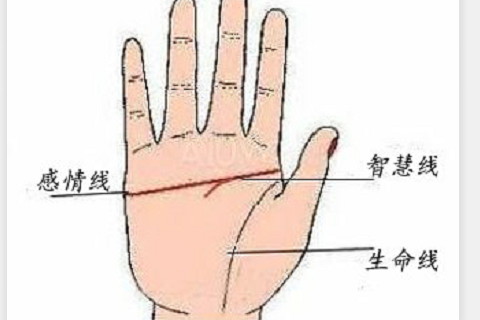 生命線分叉會生大病嗎?生命線分叉說明什么
