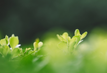 女裝店名字簡潔大氣招財 女裝店名好聽又旺財