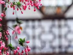 好聽的組詞名字