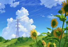 虎女一生的婚姻 虎女會被那個屬相男吸引