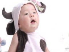 2022男孩免費(fèi)取名網(wǎng)