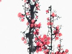 天生就是管理型人才,這幾個星座最具備領導力