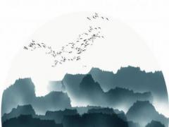 2022屬龍的運勢1976