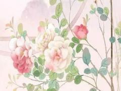 酷酷的女孩適合起什么名字