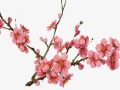 薛姓女孩好聽(tīng)的名字2019