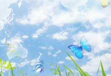 夢(mèng)到相親是什么意思 夢(mèng)到相親遇到自己心儀的人