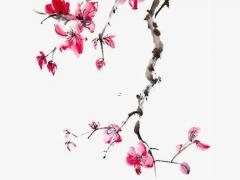 好聽的服裝店鋪名字