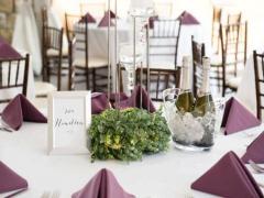 女祭司正位學業星座屋