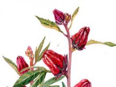 名字最準確生辰八字