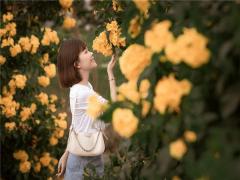 手相那條智慧線女