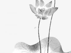 2022屬虎人有貴人相助嗎 2022年屬虎運勢如何