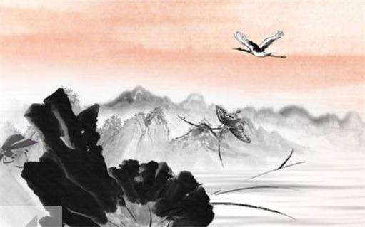 2022年49年出生運(yùn)勢(shì)