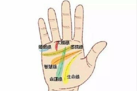 手背長痣的位置圖解?手背長痣古書必大富大貴