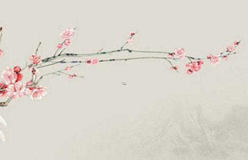 10196-.屬蛇2023年適合添丁嗎